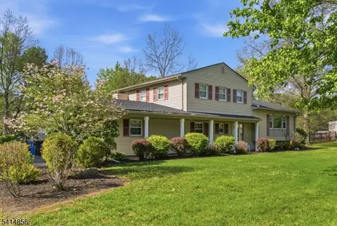 61 Queen Anne Dr, Basking Ridge, NJ 07920