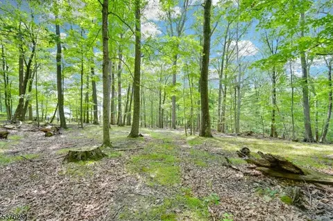 51 Paulinskill Lake Rd, Fredon Twp, NJ 07860