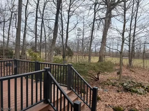 113 Crest Dr, Summit, NJ 07901 photo 34