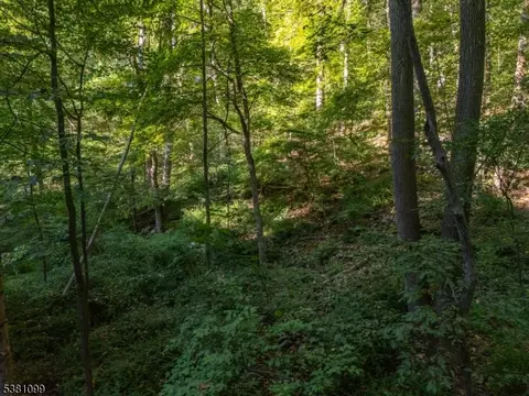 00 Sweet Hollow Rd, Holland Twp, NJ 08848