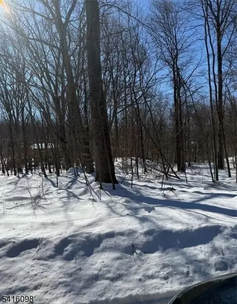 15 Saw Mill Rd, Kinnelon Boro, NJ 07405