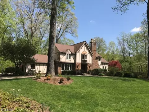 2 Forest View Dr, Chester, NJ 07930