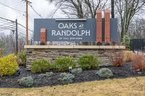 18 Flower Horn Blvd, Randolph, NJ 07869