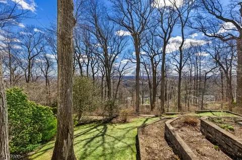 Exterior - 10 Tree Top Dr, Springfield, NJ 07081 photo 3 of 4