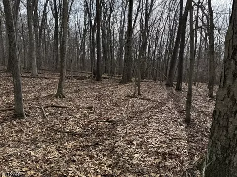 162 North Rd, Chester Twp, NJ 07930