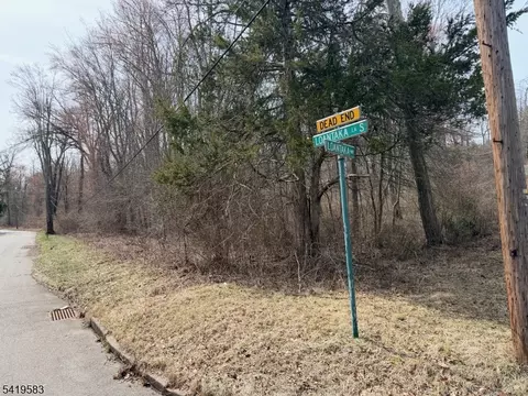 10 Loantaka Ln, Chatham Twp, NJ 07960