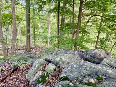 Other - 122 Forest Dr, Glen Gardner, NJ 08826 photo 14 of 18