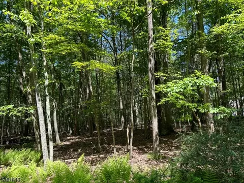 0 Devita Rd, Sandyston Twp, NJ 07826 photo 3