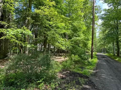 0 Devita Rd, Sandyston Twp, NJ 07826