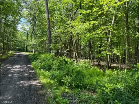 0 Devita Rd, Sandyston Twp, NJ 07826 photo 4