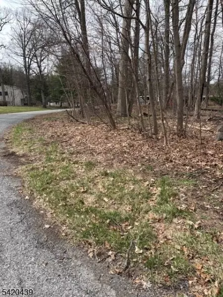 3 Wood Dale Ct, Vernon Twp, NJ 07461