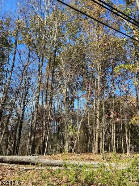 0 Terhune Dr, Wayne Twp, NJ 07470