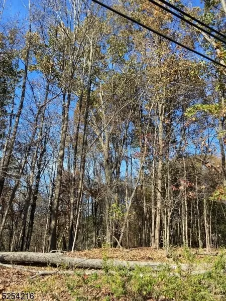 0 Terhune Dr, Wayne Twp, NJ 07470