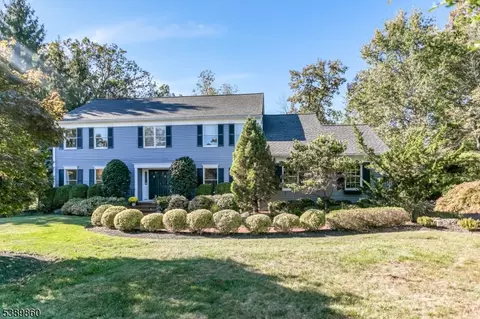 135 Woods End Dr, Basking Ridge, NJ 07920