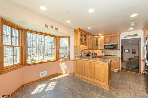 3 Overbrook Rd, Randolph, NJ 07869 photo 14