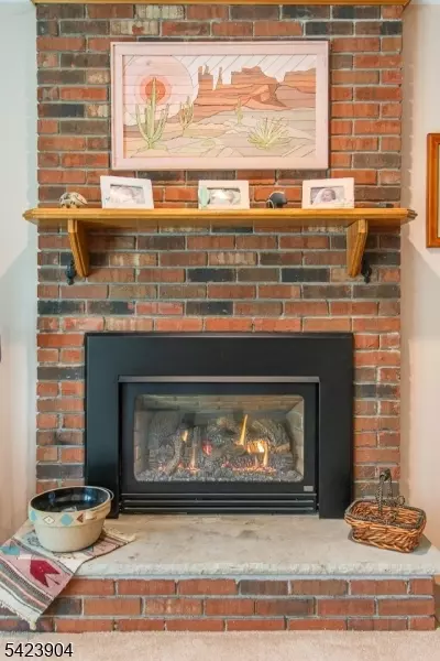 3 Overbrook Rd, Randolph, NJ 07869 photo 18