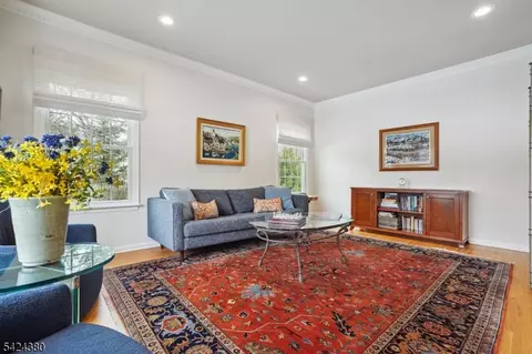 Living - 13 Obrien Ct, Bedminster, NJ 07921 photo 6 of 7