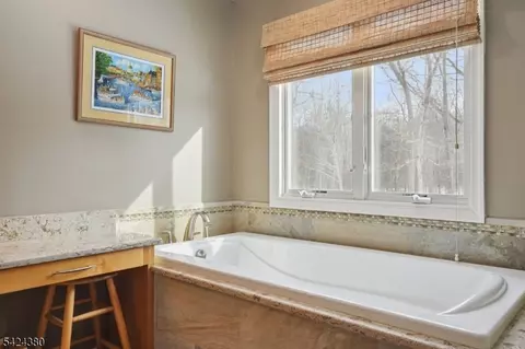 Bath - 13 Obrien Ct, Bedminster, NJ 07921 photo 5 of 6