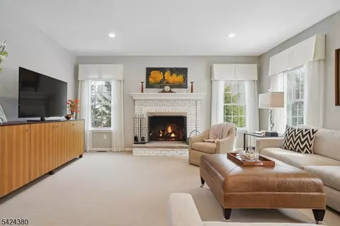 Living - 13 Obrien Ct, Bedminster, NJ 07921 photo 1 of 7