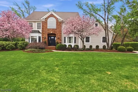13 Obrien Ct, Bedminster, NJ 07921