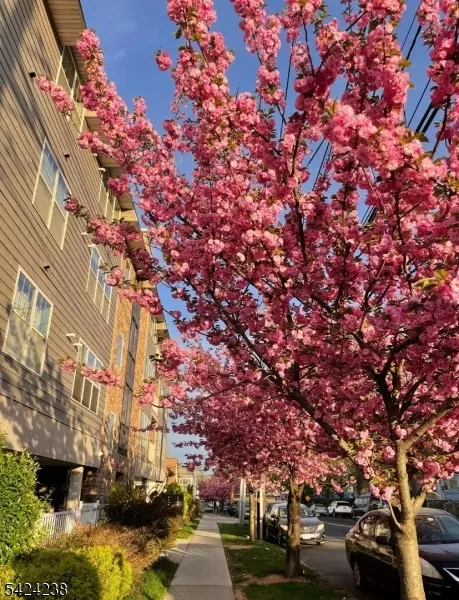 594-596 Jefferson Ave #203, Elizabeth, NJ 07201