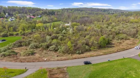 3 Forest View Dr, Holland Twp, NJ 08804