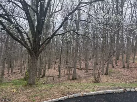 14 Cathy Ln, Mount Olive Twp, NJ 07836