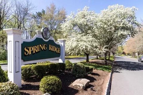 184 Alexandria Way, Basking Ridge, NJ 07920