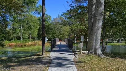 16 Forest Ter, Wayne, NJ 07470 photo 23