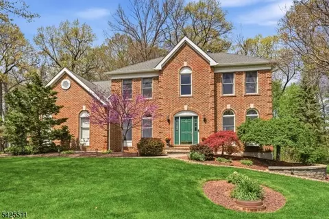 11 Wyckoff Dr, Pittstown, NJ 08867