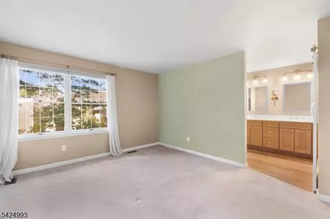 90 Stone Run Rd, Bedminster, NJ 07921 photo 18
