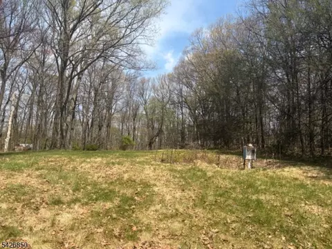 9 Thomas Dr, Hackettstown, NJ 07840 photo 6