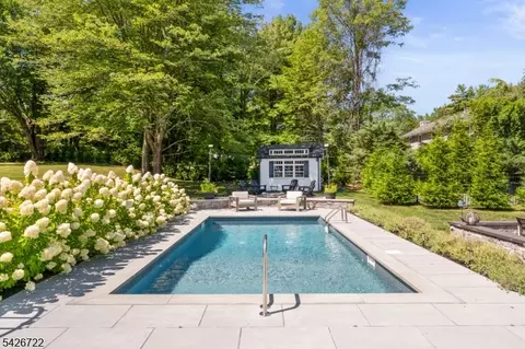17 Drake Rd, Mendham, NJ 07945 photo 38