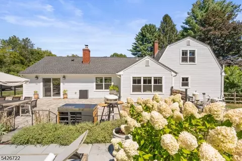 17 Drake Rd, Mendham, NJ 07945 photo 47