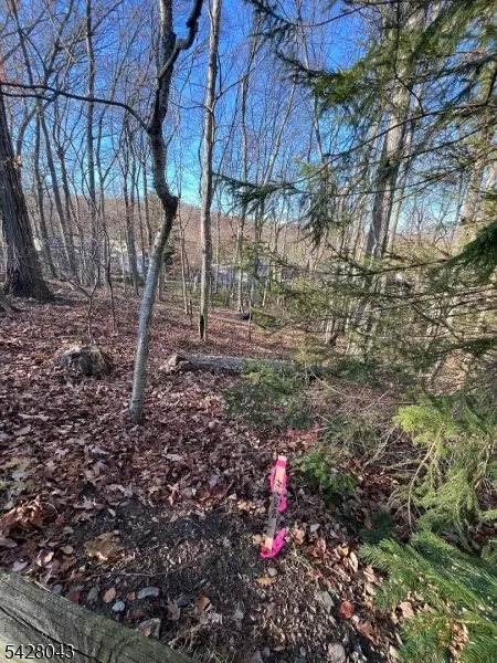22 Mountain Rd, Denville Twp, NJ 07834