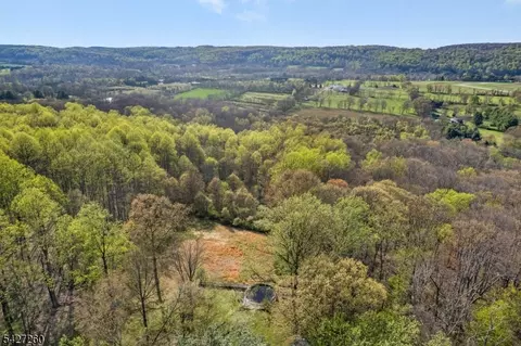 81 Turtleback Rd, Califon, NJ 07830