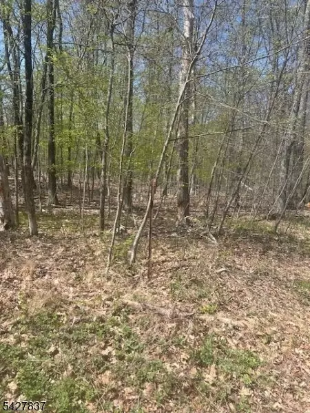 37 Courtright Rd, Wantage Twp, NJ 07461