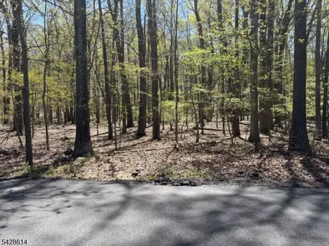 61 Quenby Mountain Rd, Liberty Twp, NJ 07838