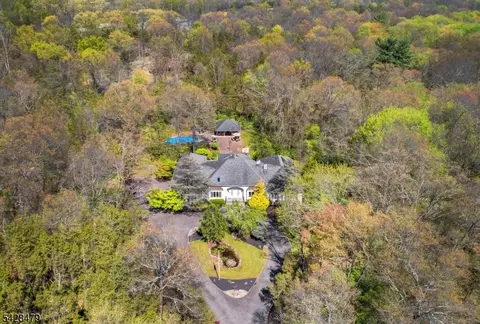 55 Janelle Ct, Bedminster, NJ 07921