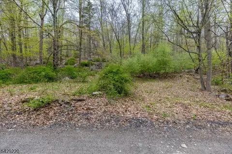 26 Jones Ln, Washington Twp, NJ 07853
