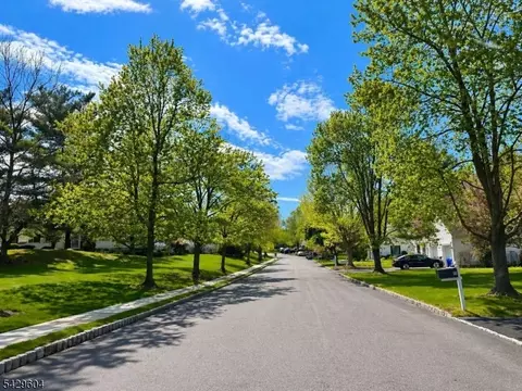 170 Smithfield Ct, Basking Ridge, NJ 07920 photo 2