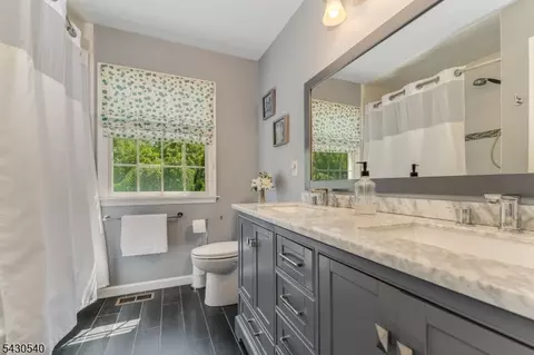 Bath - 9 Hawk Dr, Ringoes, NJ 08551 photo 3 of 3