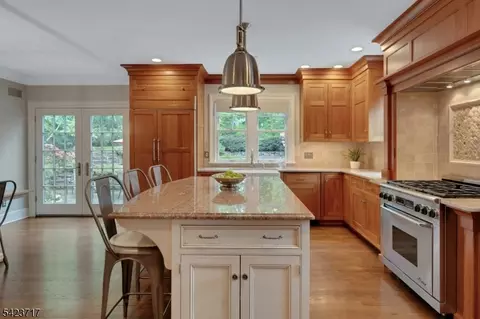 230 Summit Ave, Summit, NJ 07901 photo 19