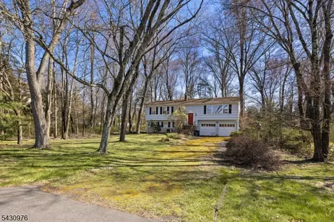 132 Goltra Dr, Basking Ridge, NJ 07920