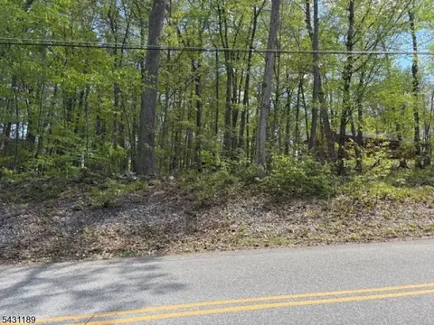 132 Mary Jones Rd, Hampton Twp, NJ 07860
