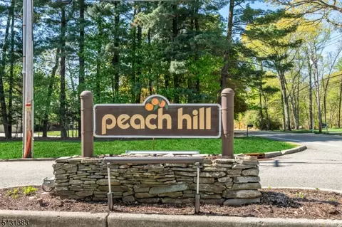 57 Peach Hill Ct, Ramsey, NJ 07446