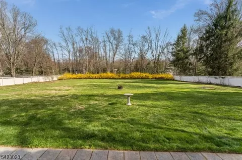 4 Babbitt Rd, Mendham, NJ 07945 photo 43