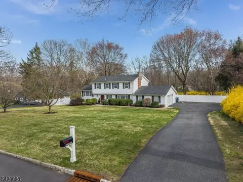 4 Babbitt Rd, Mendham, NJ 07945 photo 47