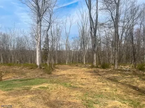 29 Twin Oaks Ln, Harding Twp, NJ 07960