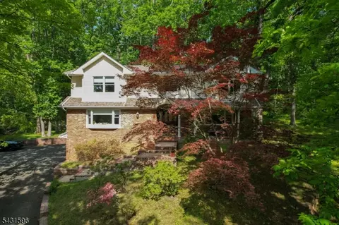 17 Drift Rd, Watchung, NJ 07069